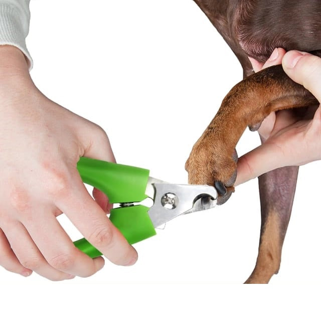 Medluxy PET - Nageltang voor Dieren - Blauw - M/S - [PN0118]